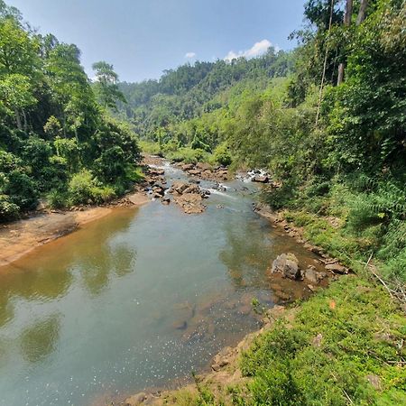 Rainforest River Bay Deniyaya Esterno foto