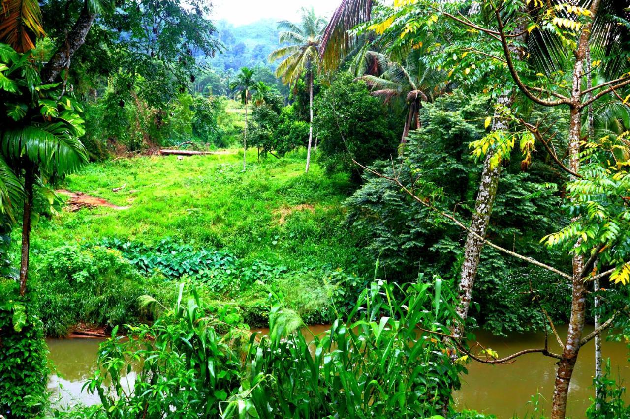 Rainforest River Bay Deniyaya Esterno foto