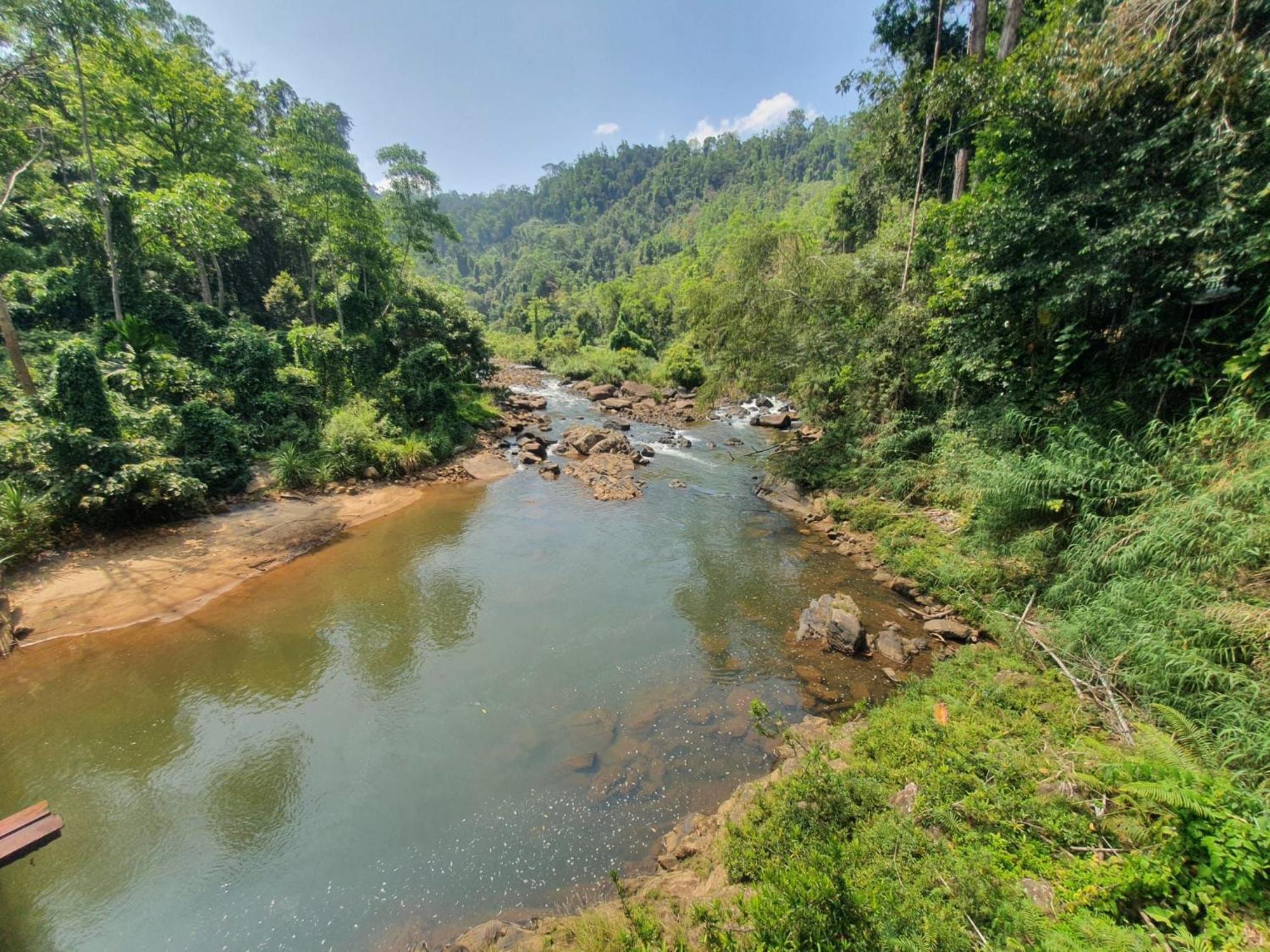 Rainforest River Bay Deniyaya Esterno foto